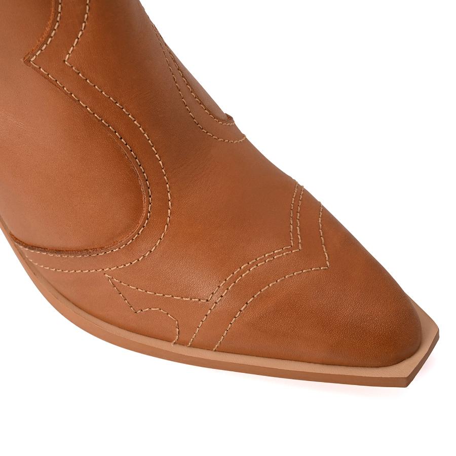 BOTA
