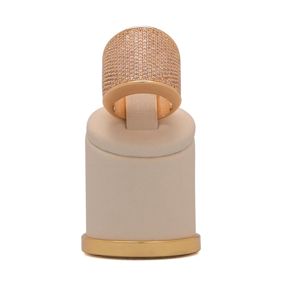 ANILLO