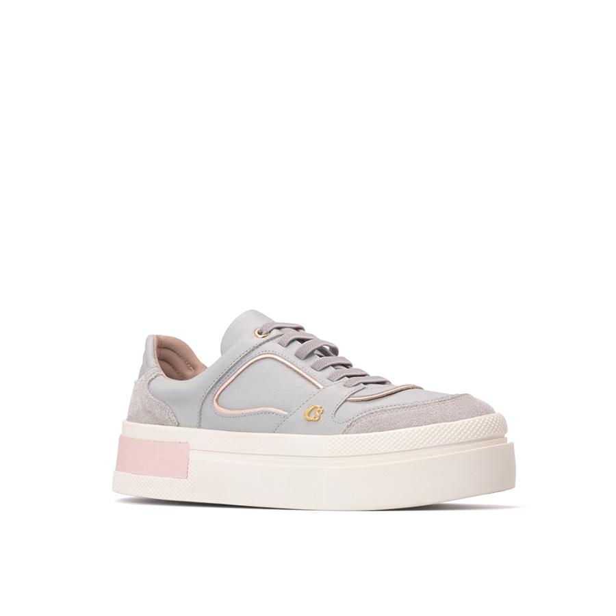 TENIS