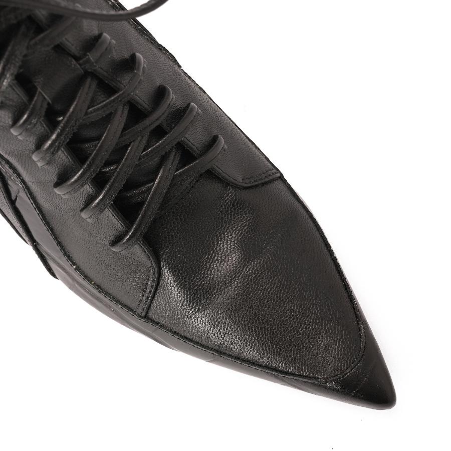 BOTA