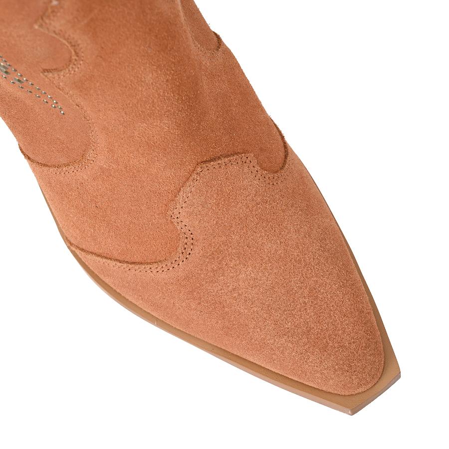 BOTA