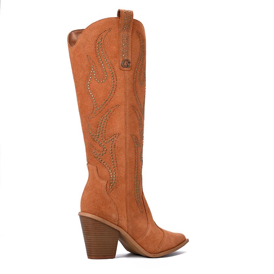 BOTA