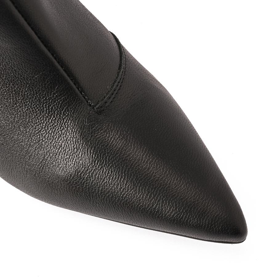 BOTA