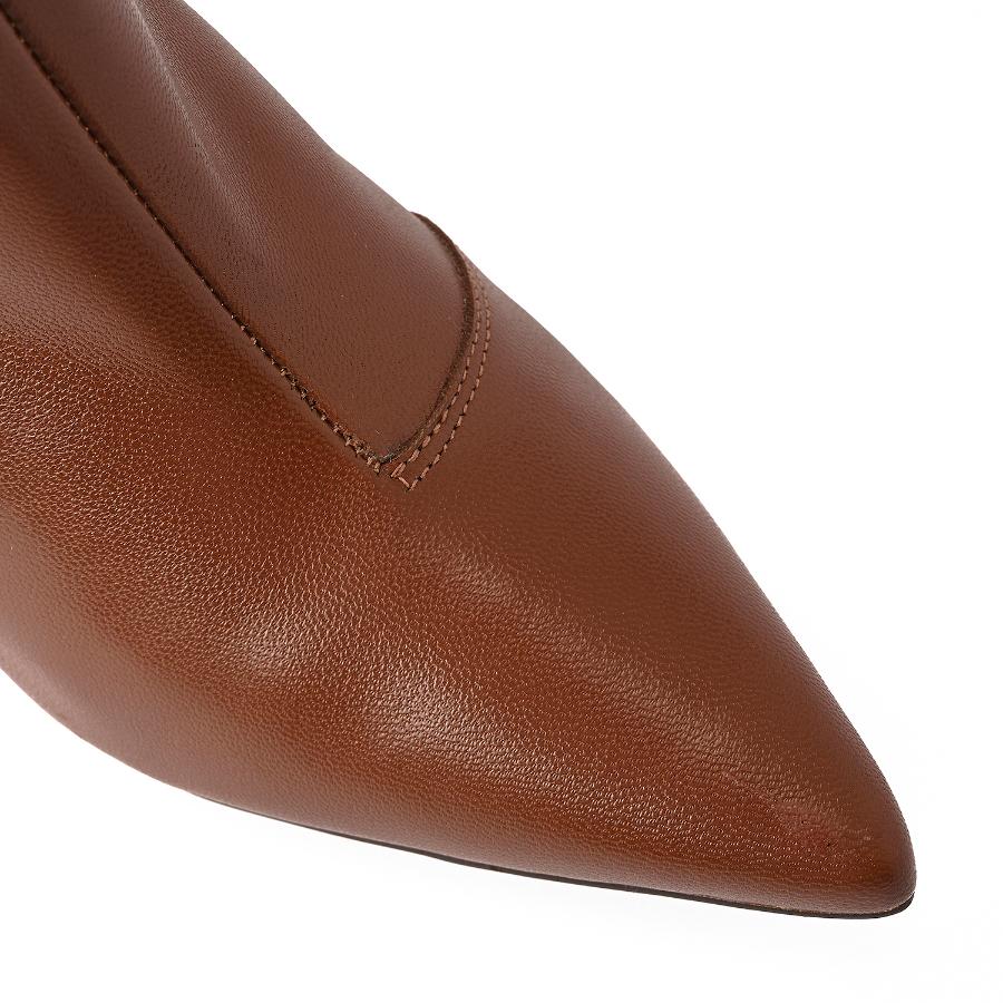 BOTA